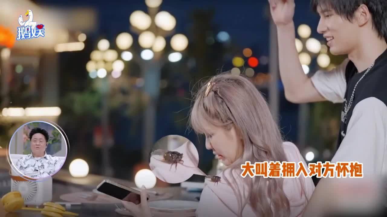 怎样追狮子座男生?知识问答网页-高效解答你的疑问